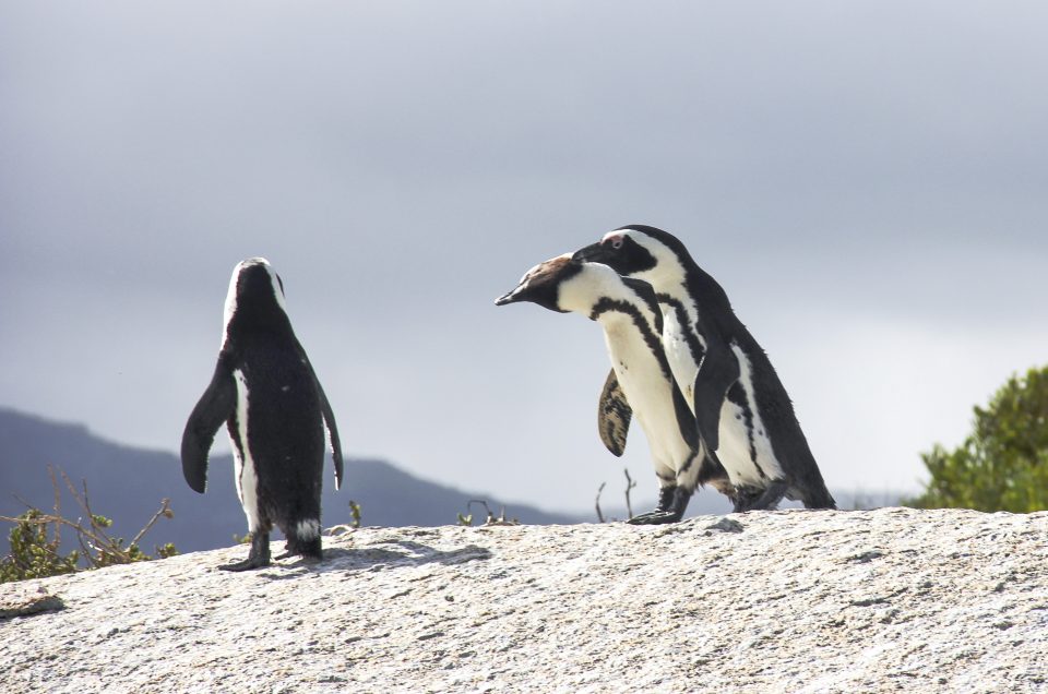 National Geographic ferðir fyrir alla