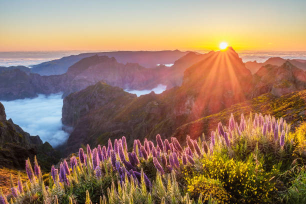 Gönguferð á Madeira – Páskaferð
